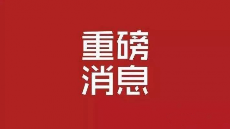 2019年冶金科学技术奖评委会评审后变化项目公示！